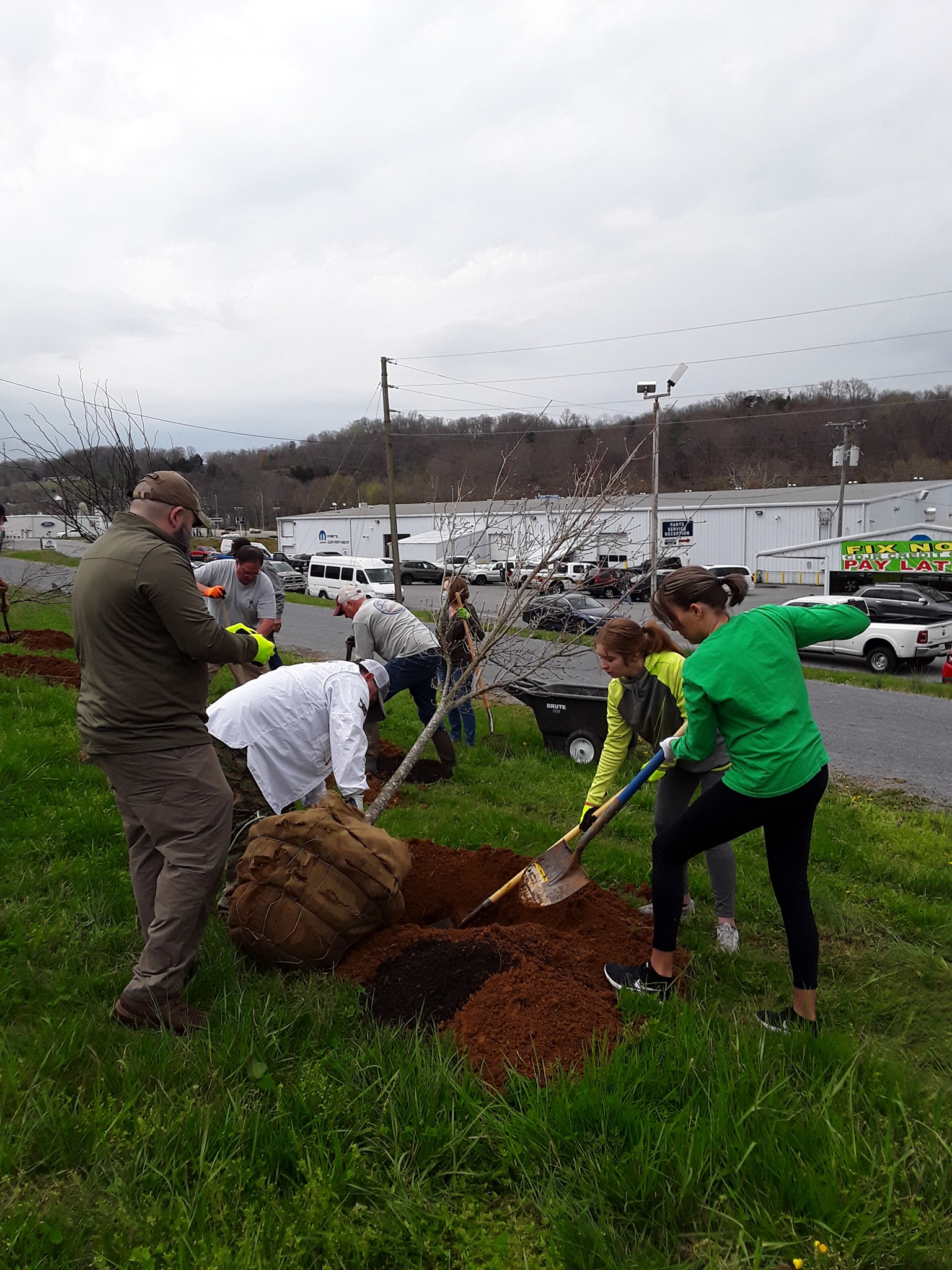 Home - Welcome to Keep Carter County Beautiful